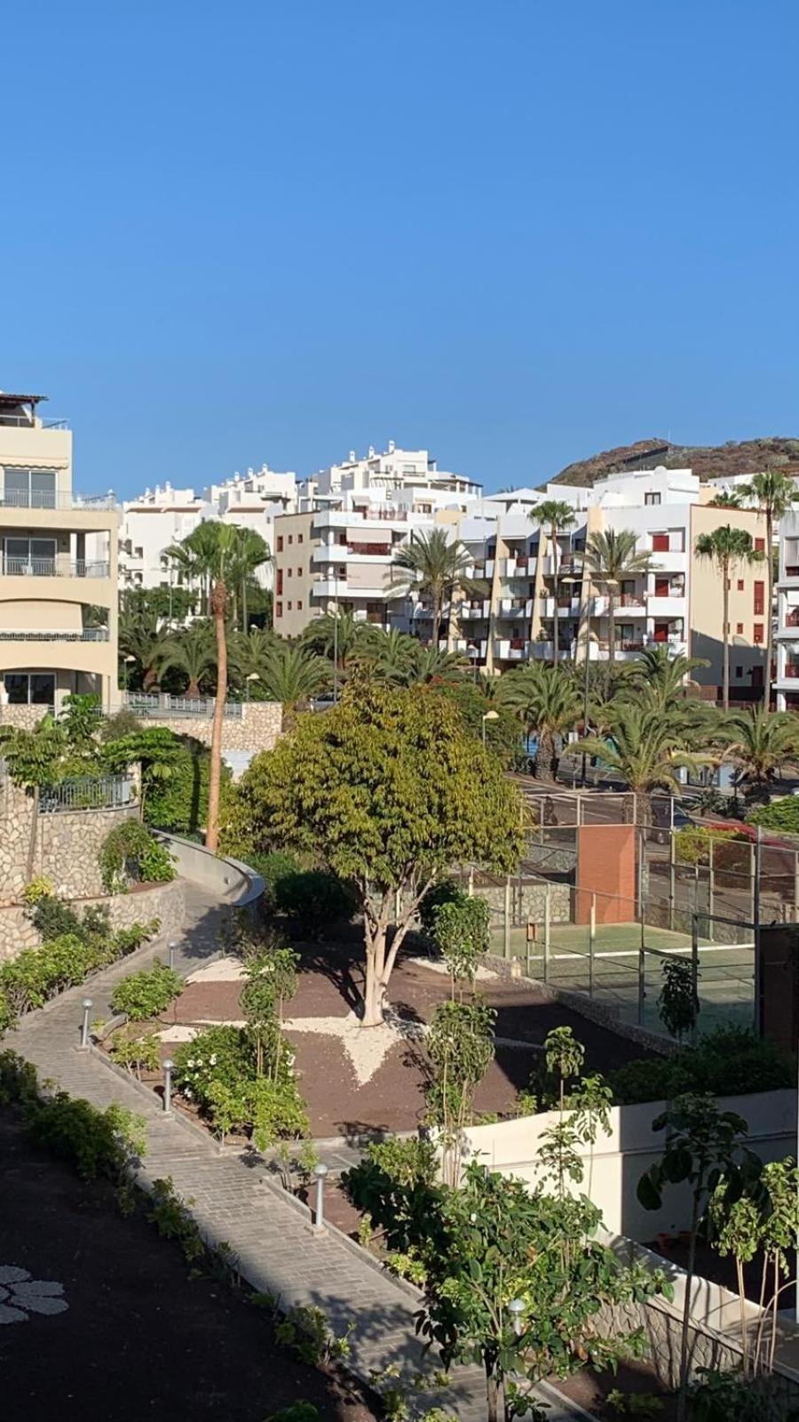 Apartamento Las Palmeritas Palm Mar Tenerife Sur Exteriér fotografie